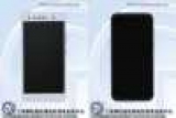   ZTE       TENAA